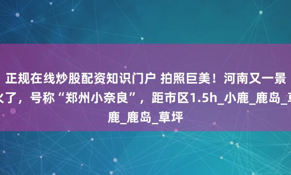正规在线炒股配资知识门户 拍照巨美！河南又一景区火了，号称“郑州小奈良”，距市区1.5h_小鹿_鹿岛_草坪