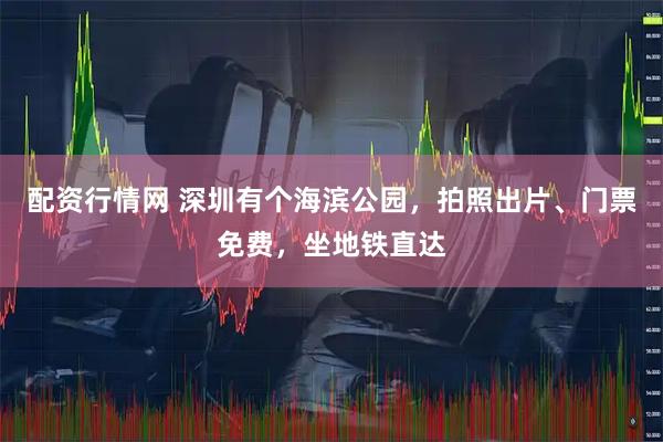 配资行情网 深圳有个海滨公园，拍照出片、门票免费，坐地铁直达