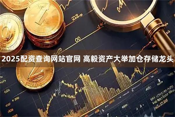 2025配资查询网站官网 高毅资产大举加仓存储龙头